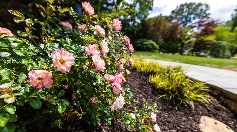 Flower-Bed-Design