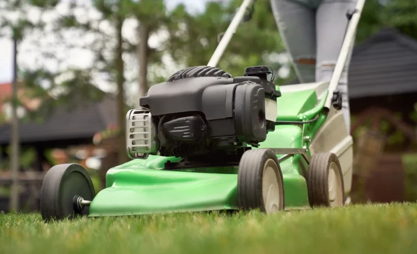 Best Lawn Care Treatment