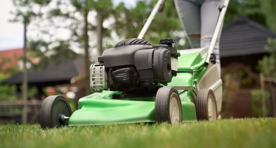 Best Lawn Care Treatment