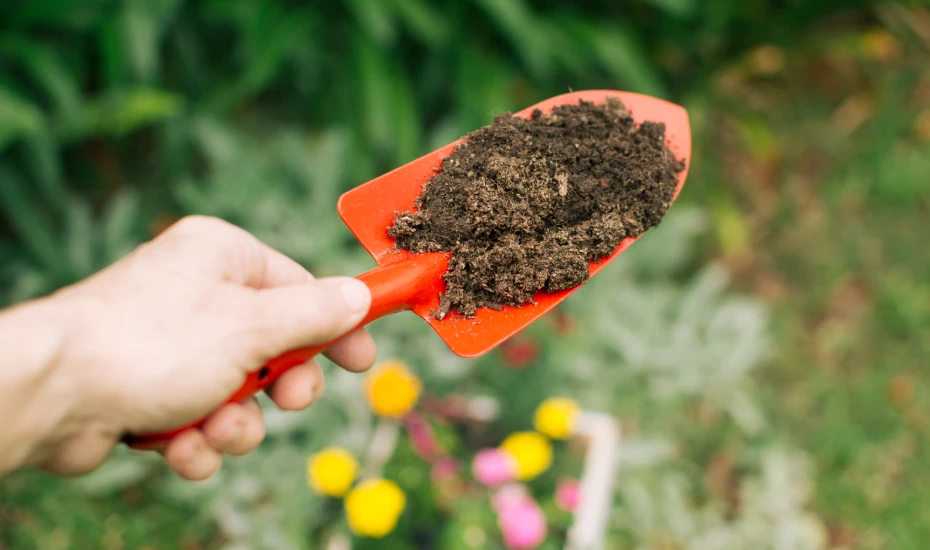 Soil Health Check and Preparation