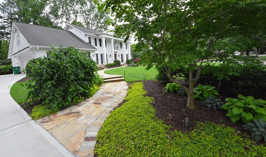 Natural Stone Walkways Ideas