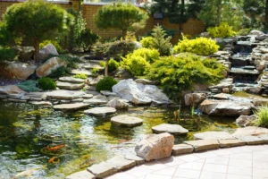 Backyard Water Feature Design