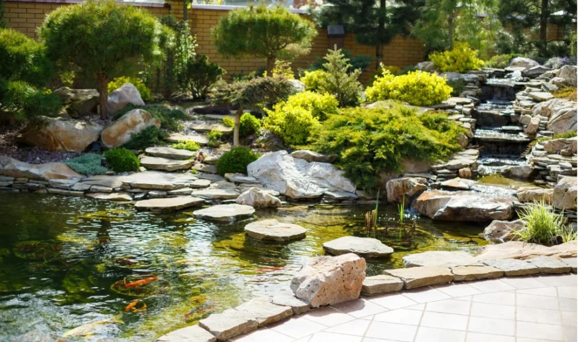 Backyard Water Feature Design