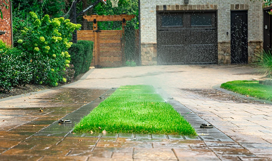 Driveway cleaning 