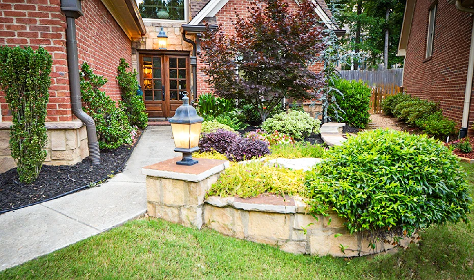 Garden with Green Plants