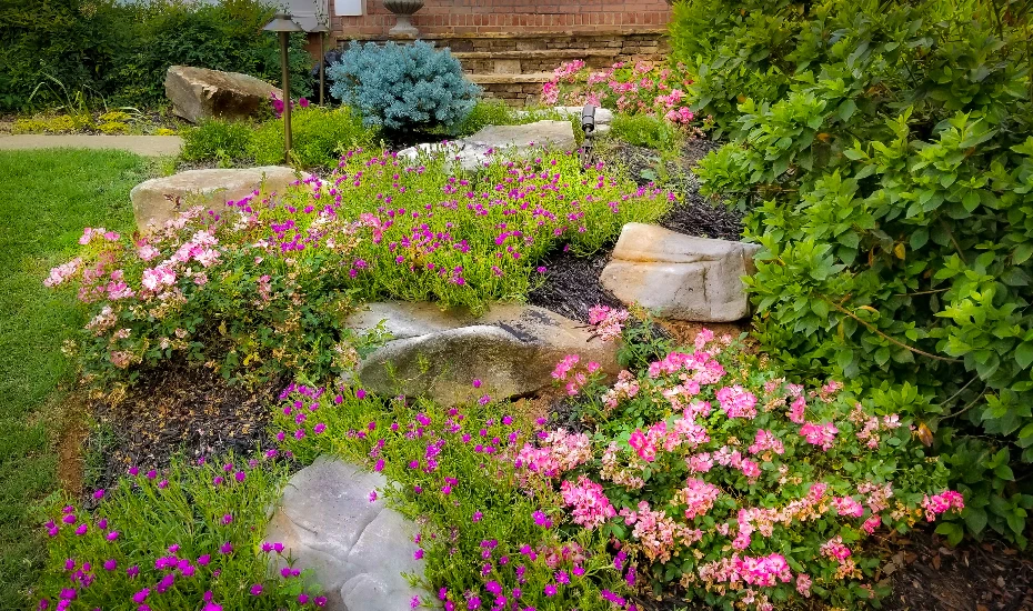 Landscape Gardening Ideas