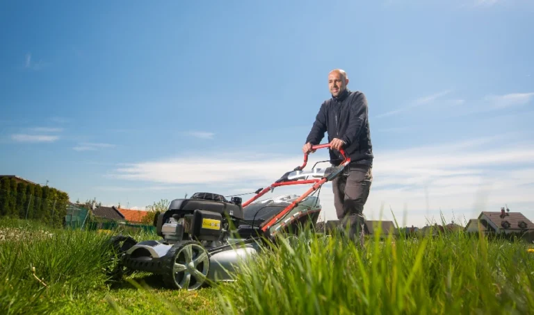 Lawn Care In winter