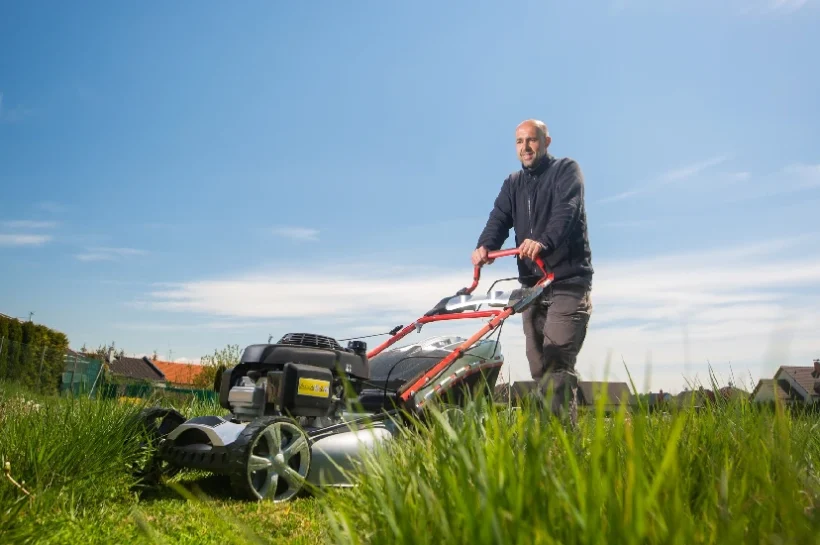 Lawn Care In winter