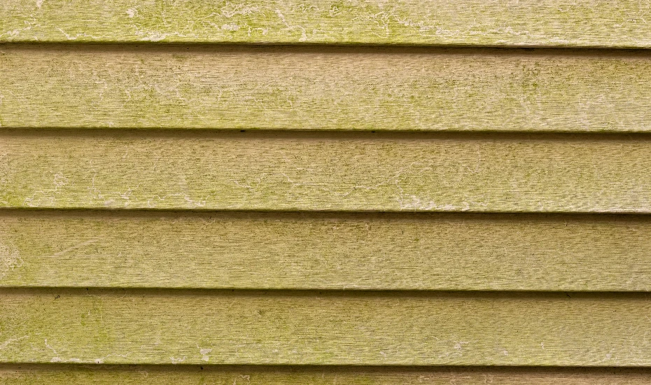 Moisture in Siding