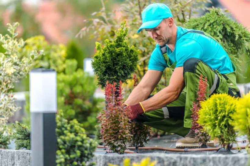 Outdoor Garden Maintenance.