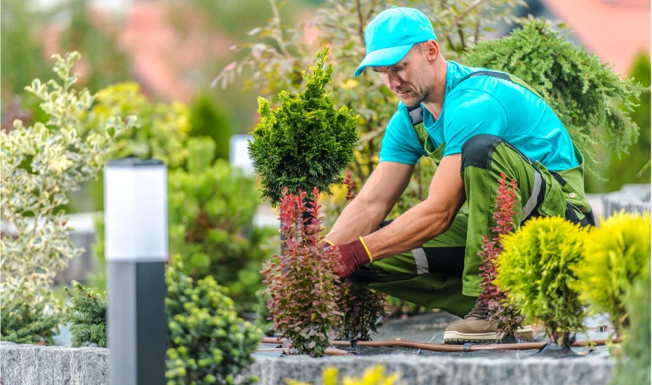 Outdoor Garden Maintenance.