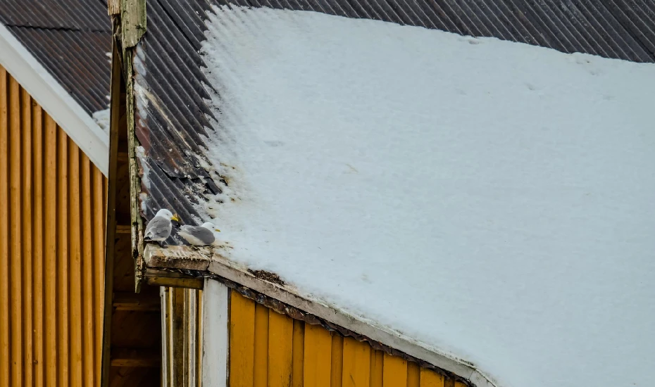 Siding Maintenance Tips