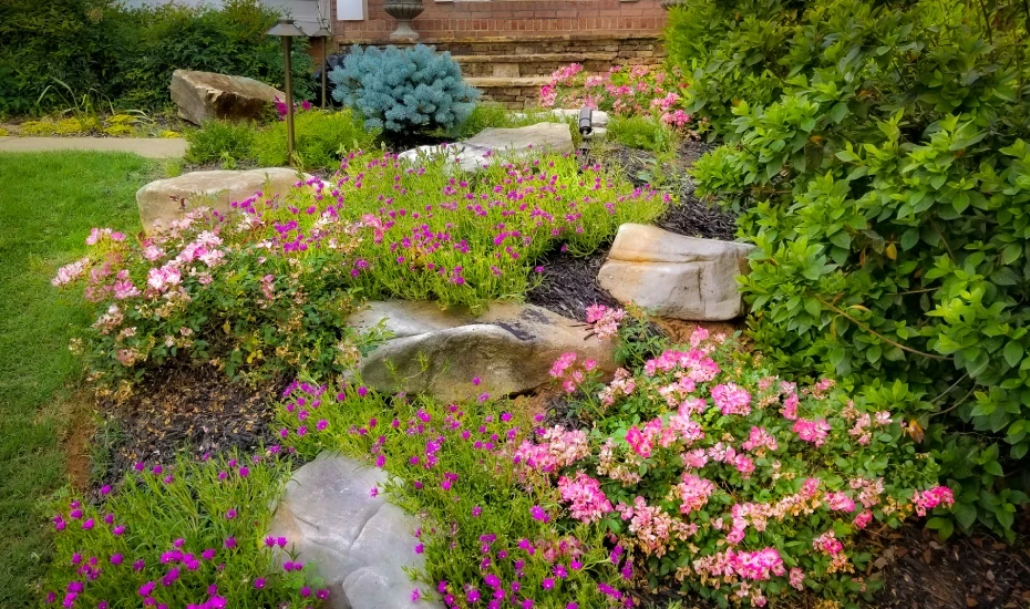 drought-resistant landscaping